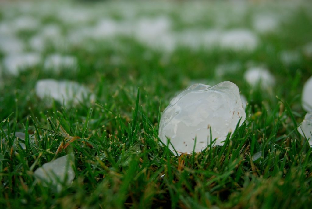 large pieces of hail on grass